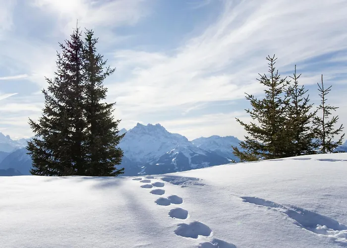 La Berciere 21 By Interhome Apartman Villars-sur-Ollon