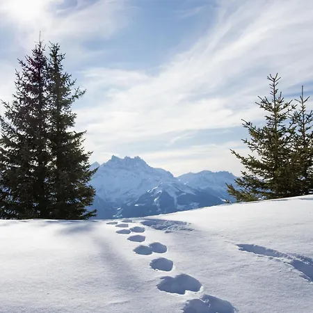 La Berciere 21 By Interhome Apartment Villars-sur-Ollon